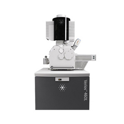 赛默飞（原FEI) Verios XHR SEM